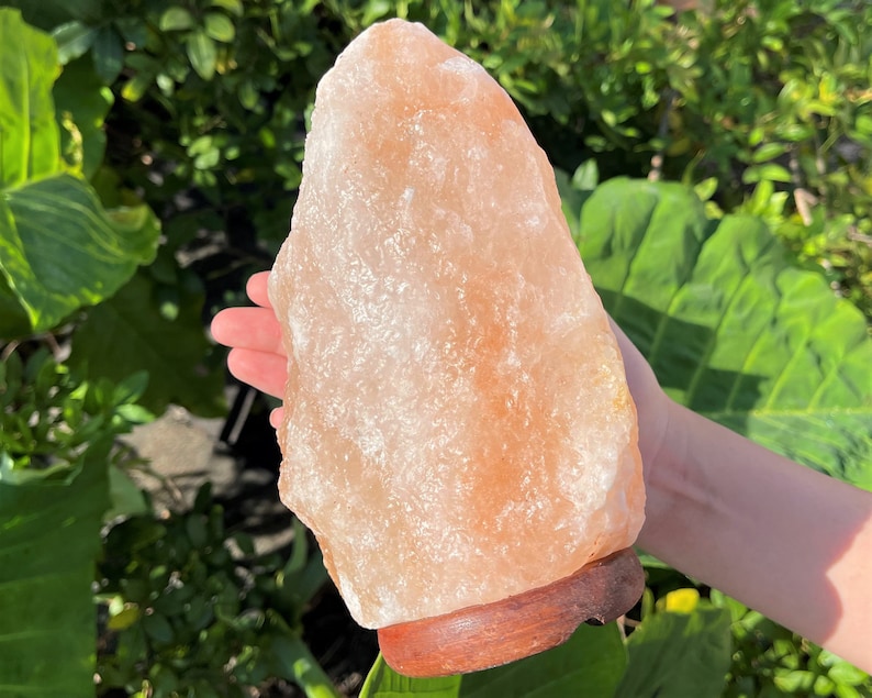 May include: A large, natural Himalayan salt lamp with a warm, pink hue. The lamp is sitting on a wooden base and is being held in a hand.