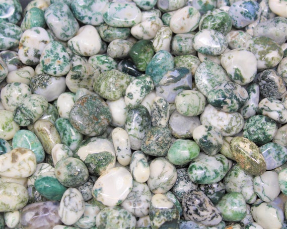 Tree Agate Tumbled Stones: Choose Ounces or lb Bulk Wholesale Lots (Premium Quality 'A' Grade)