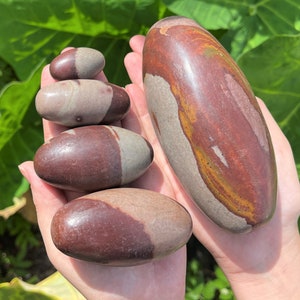 Shiva Lingam Stone 1 - 6&quot;, Sacred Stones from Narmada River India: Choose Size (&#39;A&#39; Grade, Kundalini Awakening, Healing Crystal)