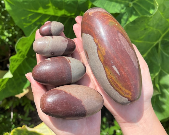 Shiva Lingam Stone 1 - 6", Sacred Stones from Narmada River India: Choose Size ('A' Grade, Kundalini Awakening, Healing Crystal)