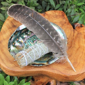 Smudge Kit: Large Abalone Shell, Blue Sage Smudge Stick, Large Smudging Feather (Fan) PLUS Smudging Guide!