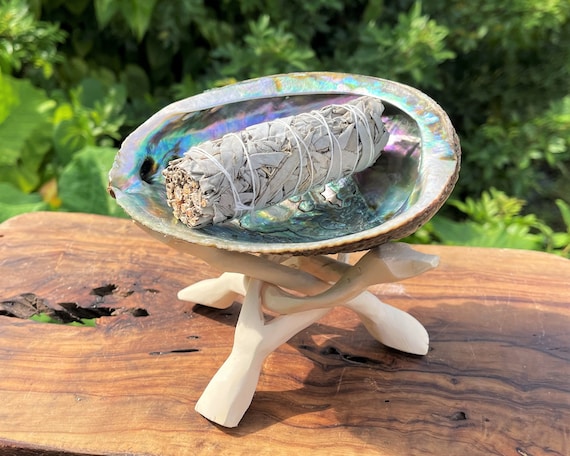 LARGE White Sage Smudge Abalone Kit: 5 - 6" Abalone Shell, White Sage Smudge Stick, Stand & Smudging Directions (House Cleansing)