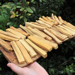 May include: A selection of light brown Palo Santo sticks displayed on a wooden tray. The sticks have a natural, textured finish. The tray is held by hands against a backdrop of green leaves.