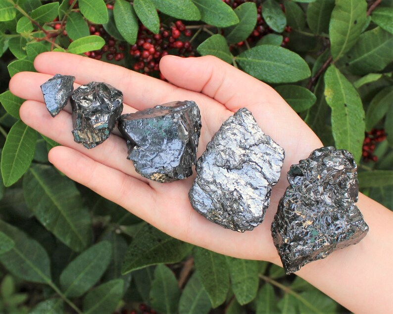 May include: Five pieces of raw, dark gray crystals with a metallic sheen are held in an open hand. The crystals vary in size and have a rough, textured surface. Green foliage and red berries are in the background.