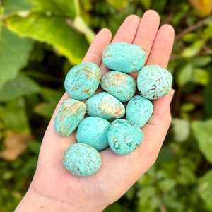 Peruvian Turquoise Tumbled Stones: Choose How Many Pieces (Premium Quality &#39;A&#39; Grade Turquoise from Peru)