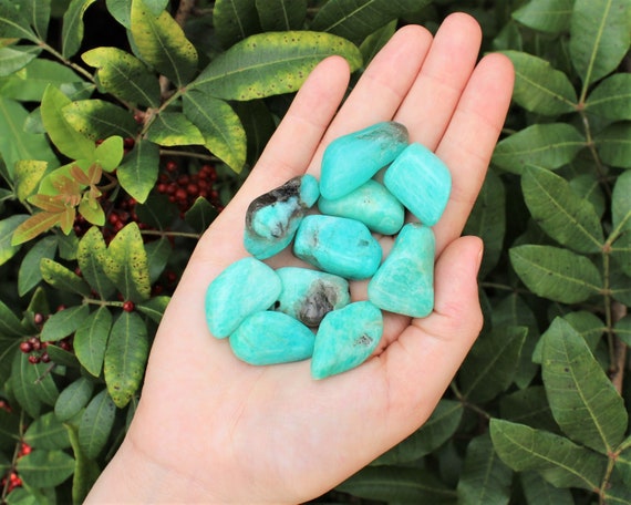 Amazonite Tumbled Stones: Choose How Many Pieces (Premium Quality 'A' Grade)