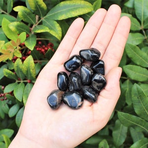 Black Onyx Tumbled Stones: Choose How Many Pieces (Premium Quality 'A' Grade)