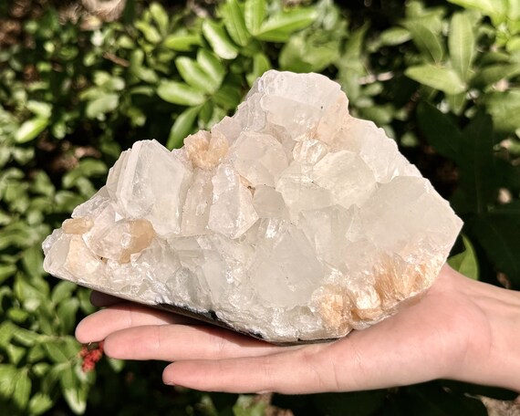 Apophyllite & Stilbite Crystal Cluster - EXACT SPECIMEN Shown (AAA Grade Premium Quality Natural Apophyllite Cluster with Inclusions, SB12)