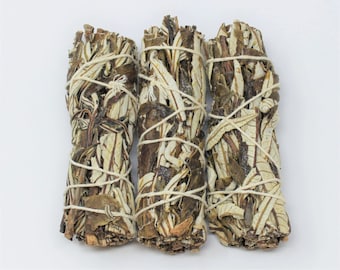 May include: Three bundles of white sage smudge sticks tied with twine. The sage is dried and ready to be burned for smudging rituals.