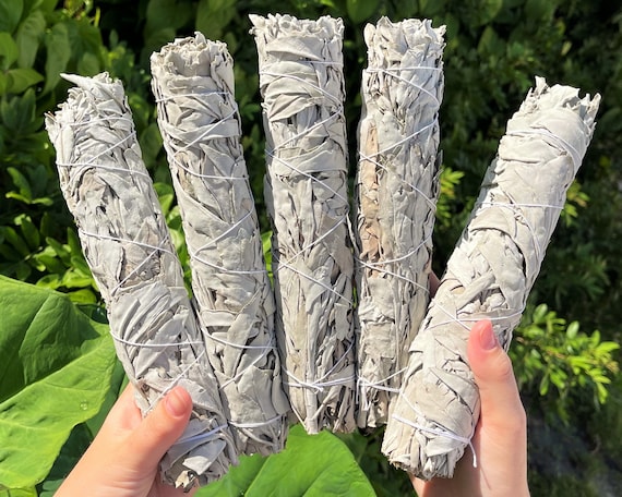 JUMBO White Sage Smudge 9" Sticks - Choose How Many (Fresh Premium Quality White Sage Bundles For Purifying, Cleansing & Blessing)