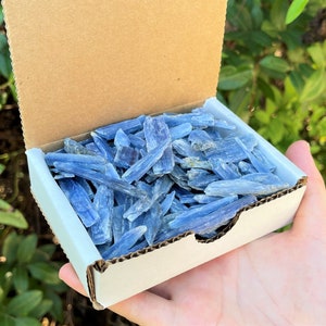 Blue Kyanite Blades 1/2 lb Box Lot (Premium Quality &#39;A&#39; Grade Kyanite Crystals, Gift Box)