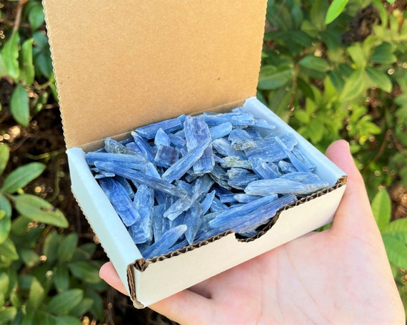Blue Kyanite Blades 1/2 lb Box Lot (Premium Quality 'A' Grade Kyanite Crystals, Gift Box)