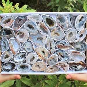 May include: A box filled with a variety of agate crystal slices. The slices are all different shapes and sizes, and they have a variety of colors, including white, gray, brown, and black. The crystals are arranged in a grid pattern in the box.