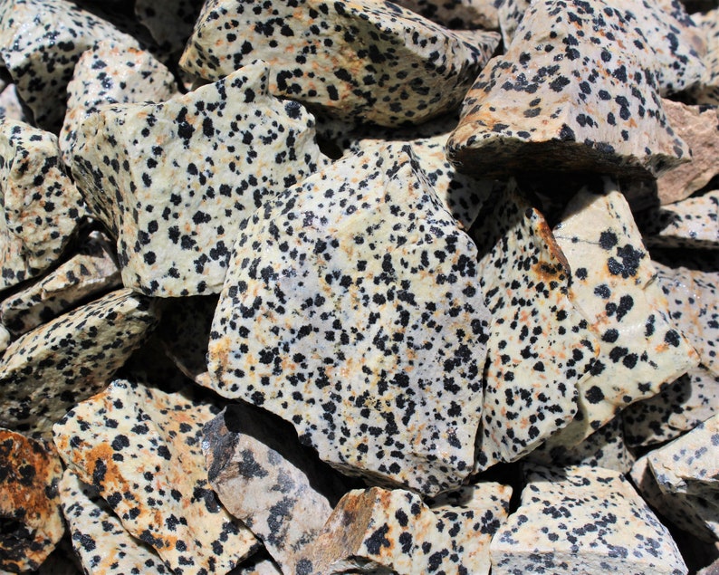 Dalmation Jasper Rough Natural Stones: Choose Ounces or lb Bulk Wholesale Lots Premium Quality 'A' Grade image 8