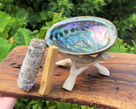 LARGE White Sage Smudge Abalone Kit: 5-6" Abalone Shell, White Sage Smudge Stick, Palo Santo, Stand & Smudging Directions (House Cleansing)