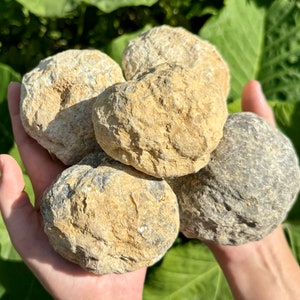 JUMBO Break Your Own Geodes lb Wholesale Bulk Lots - CRAZY CHEAP Large Unopened Moroccan Crystal Calcite Geodes - Choose How Many Pounds