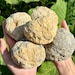 see more listings in the Points, Clusters, Geodes section