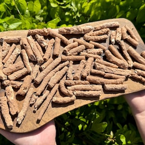 May include: A wooden cutting board filled with numerous tan, cylindrical objects. The objects are arranged in a random pattern across the board. The board is held by a person, with green foliage in the background.