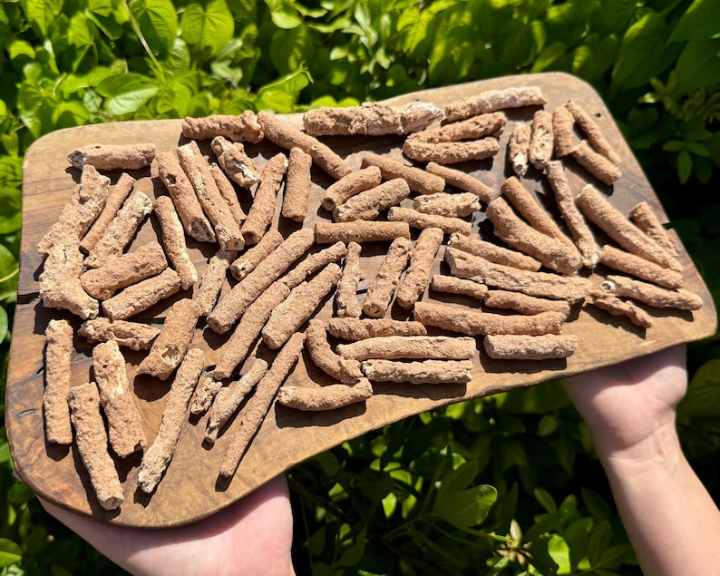 May include: A wooden cutting board filled with numerous tan, cylindrical objects. The objects are arranged in a random pattern across the board. The board is held by a person, with green foliage in the background.