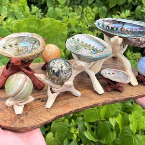 May include: A collection of iridescent abalone shells and polished stone spheres displayed on wooden stands atop a rustic wooden board. The set includes three abalone shells of varying sizes, a pyrite sphere, a green banded sphere, and two others.