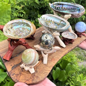 May include: A collection of three iridescent abalone shells and three polished stone spheres displayed on carved wooden stands. The items are arranged on a rustic wooden board, featuring a metallic pyrite sphere, a green banded onyx sphere, and a light blue sphere.