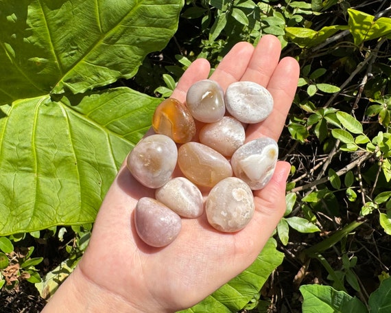 Flower Agate Tumbled Stones: Choose How Many Pieces (Premium Quality 'A' Grade, Cherry Blossom Agate Tumbled Stones)