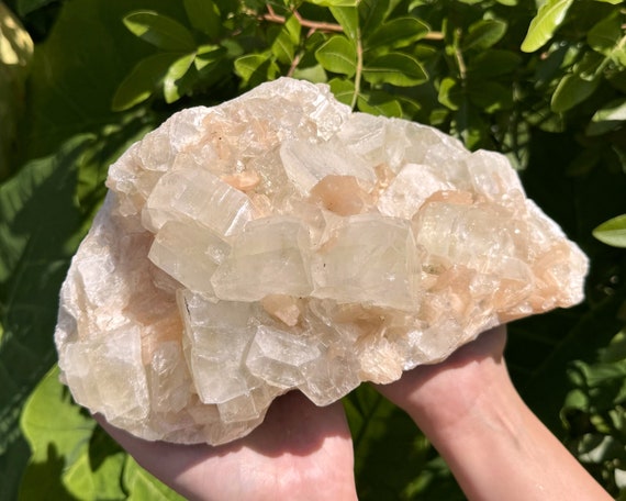 Apophyllite & Stilbite Crystal Cluster - EXACT SPECIMEN Shown ('AAA' Grade Natural Apophyllite Cluster with Inclusions, AP8)