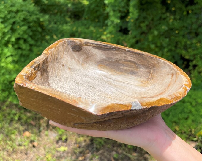 Petrified Wood Bowl - EXACT SPECIMEN Shown (Petrified Wood Decorative Crystal Bowl, From Indonesia, Home Decor, WB12)