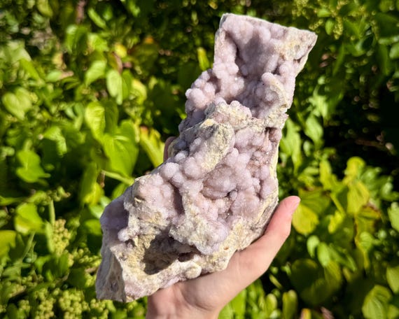 HUGE Spirit Quartz Cluster - EXACT Specimen Shown (Beautiful 'AAA' Grade Natural Spirit Quartz Cluster, Cactus Quartz, Home Decor)