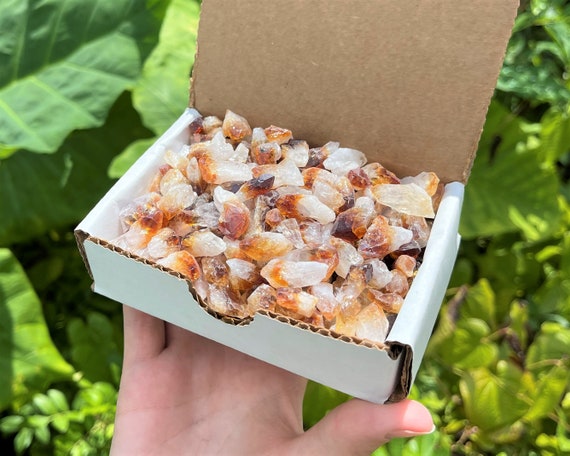 Citrine Points Crystal Collection 1/2 Lb Box (8 oz, 'A' Grade Premium Quality Citrine Crystal Points From Brazil)