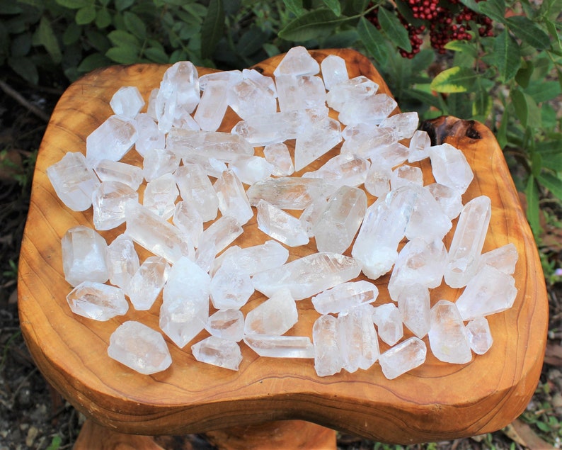 May include: A collection of clear quartz crystal points of varying sizes, displayed on a rustic, carved wooden tray. The crystals are translucent and reflect light, creating a sparkling effect. The wooden tray has a warm, natural tone, and the background features green foliage.
