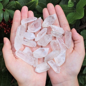 May include: A pair of hands cradles a collection of clear quartz crystals. The crystals vary in size and shape, with pointed tips and translucent bodies. Green foliage provides a natural backdrop, enhancing the crystals' clarity and color.
