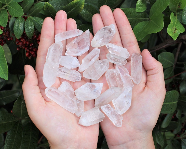 May include: A pair of hands cradles a collection of clear quartz crystals. The crystals vary in size and shape, with pointed tips and translucent bodies. Green foliage provides a natural backdrop, enhancing the crystals' clarity and color.