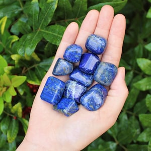 Lapis Tumbled Stones: Choose How Many Pieces (Premium Quality &#39;A&#39; Grade Natural Lapis Lazuli Crystals)
