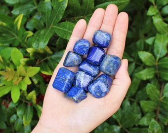 Lapis Tumbled Stones: Choose How Many Pieces (Premium Quality 'A' Grade Natural Lapis Lazuli Crystals)