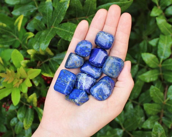 Lapis Tumbled Stones: Choose How Many Pieces (Premium Quality 'A' Grade Natural Lapis Lazuli Crystals)