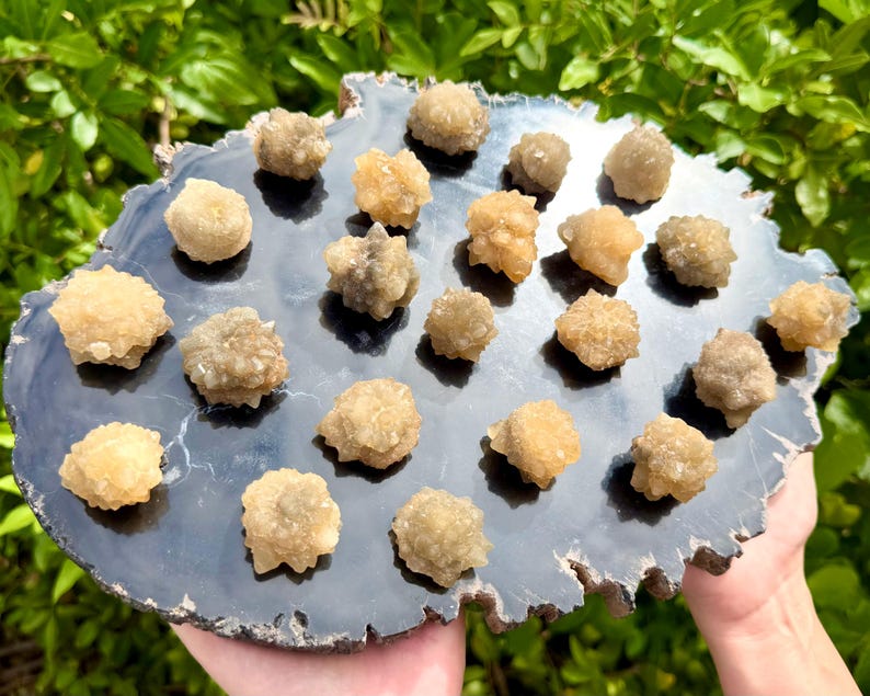 May include: A collection of twenty-one small, textured, light brown mineral clusters arranged on a large, flat, polished black agate slab with a natural, rough, and jagged white-edged perimeter, showcasing crystalline formations on the surface.
