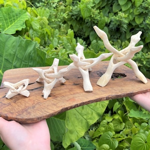 May include: Four light-colored wooden stands of varying sizes, each featuring a four-legged interlocking design. These carved wooden objects are arranged in a row on a flat, rectangular piece of natural wood with a dark, textured grain pattern.