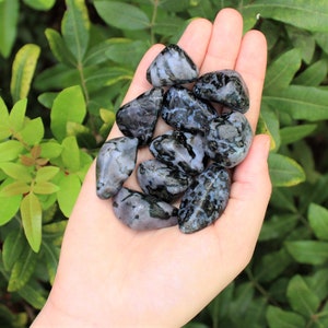 Indigo Gabbro Tumbled Stones: Choose How Many Pieces (Premium Quality &#39;A&#39; Grade, Mystic Merlinite)