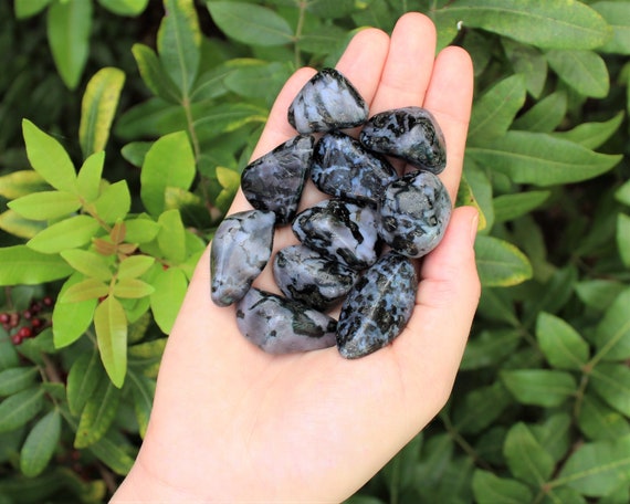 Indigo Gabbro Tumbled Stones: Choose How Many Pieces (Premium Quality 'A' Grade, Mystic Merlinite)