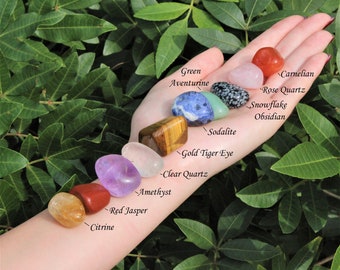 Beginners Crystal Kit, 10 pcs In Velvet Pouch - Most Popular Tumbled Crystals (Chakra Protection Healing Crystal Sets)