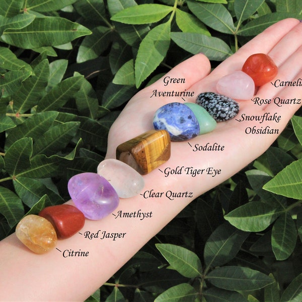 Beginners Crystal Kit, 10 pcs In Velvet Pouch - Most Popular Tumbled Crystals (Chakra Protection Healing Crystal Sets)