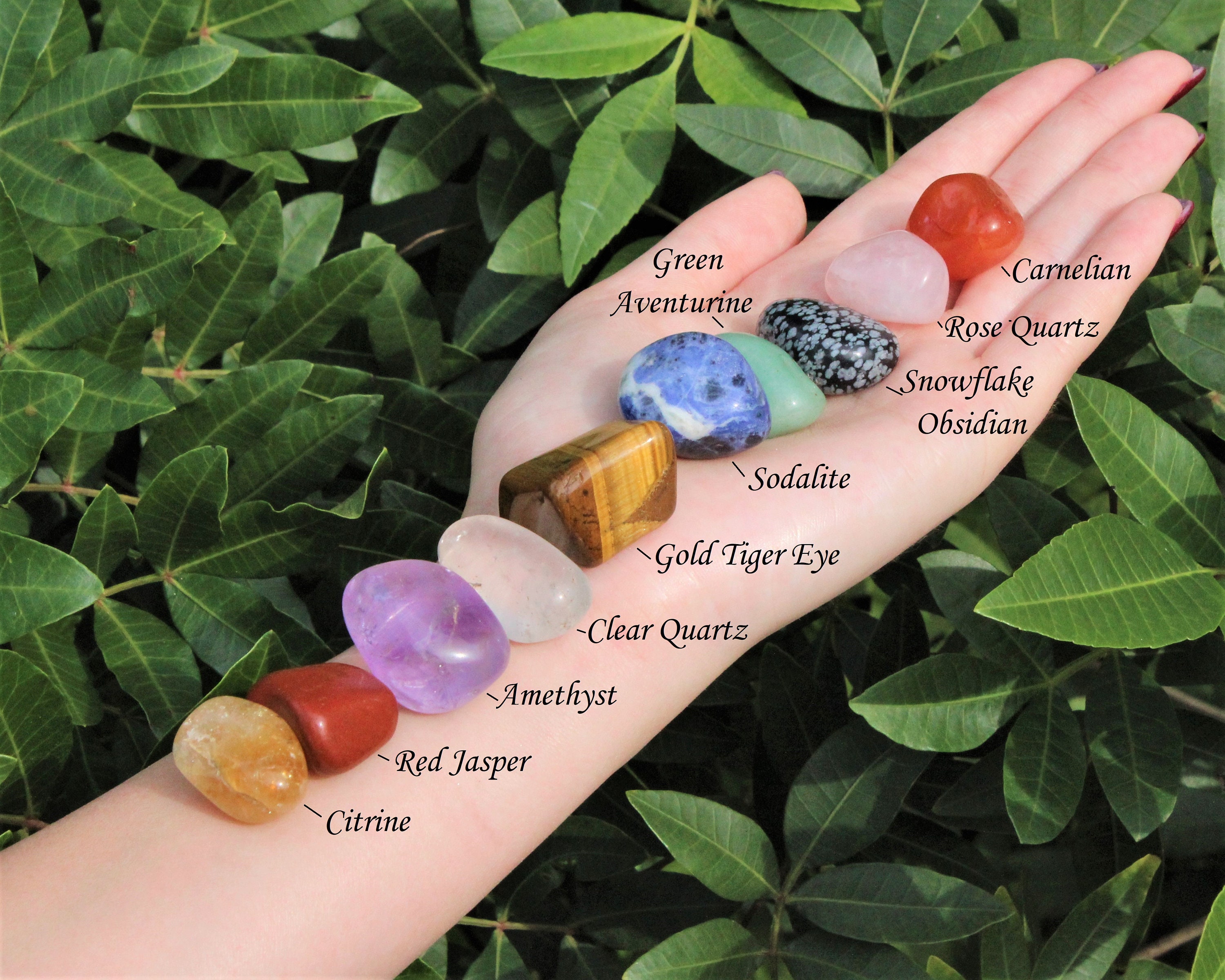 Chakra Crystals and Healing Stones Kit, 38 in 1 Real Crystals Set for  Beginners, Women Chakras Balance Gemstones and Crystals for Meditation,  Crystal