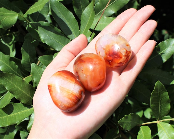 Banded Carnelian Palm Stone: Choose How Many ('AA' Grade Hand Polished Madagascar Carnelian Pebbles)