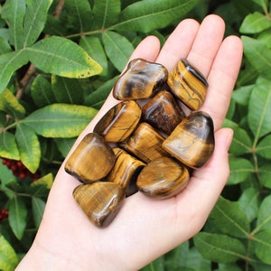 Gold Tiger Eye Tumbled Stones: Choose How Many Pieces (Premium Quality 'A' Grade, Tumbled Gold Tiger Eye, Gold Tiger Eye Tumble)