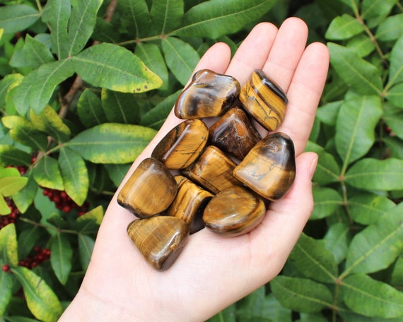 Gold Tiger Eye Tumbled Stones: Choose How Many Pieces (Premium Quality 'A' Grade, Tumbled Gold Tiger Eye, Gold Tiger Eye Tumble)