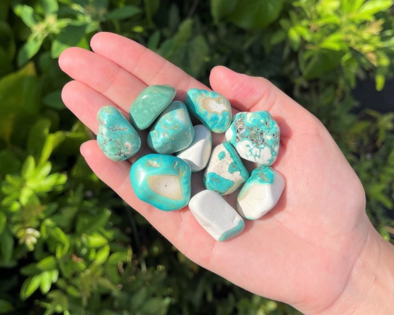 Turquoise Howlite Tumbled Stones: Choose How Many Pieces (Premium Quality 'A' Grade, Tumbled Turquoise Howlite)