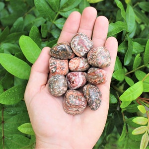 Leopard Skin Jasper Tumbled Stones: Choose How Many Pieces (Premium Quality &#39;A&#39; Grade)