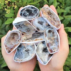 May include: A collection of geode halves, showcasing a variety of colors and crystal formations. The geodes are held in a person's hands, with a backdrop of green foliage. The geodes display shades of gray, brown, and white.