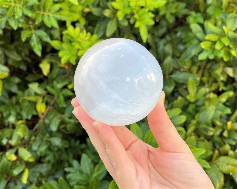 Op de afbeelding: Een witte selenietbol, een gladde, doorschijnende kristallen bol met een troebele, melkachtige uitstraling. De bol wordt in een hand gehouden tegen een groene, bladerrijke achtergrond.